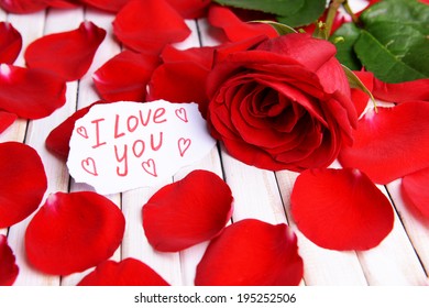 Rose Petals Text On White Background Stock Photo (Edit Now) 495918772