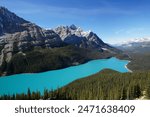 Beautiful Peyto Lake, Banff National Park, Alberta, Canada