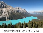 Beautiful Peyto Lake in the summer, Banff National Park, Alberta, Canada