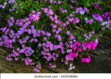 Wood Retaining Wall Images Stock Photos Vectors Shutterstock