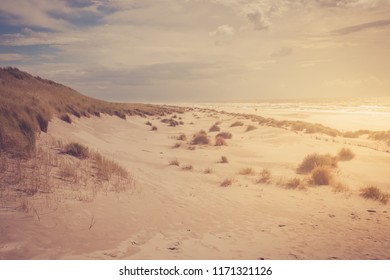 Beautiful Photo Along The Dutch Coast Strip With Sand Dunes On A Sunny, Windy Storm Day. Swaying Dune Grass And Staggering Sand Dunes Under An Impressive Cloudy Sky