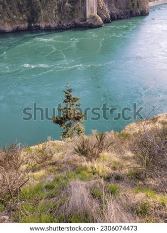 Beautiful photo of running river with trees and whitecaps. 