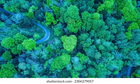 Beautiful photo in Surrey, England taken with a drone  - Shutterstock ID 2306379057