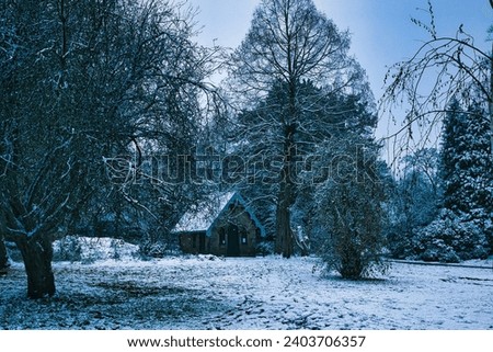 A beautiful photo of the trees covered in snow during the winter in Harrogate