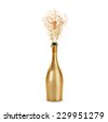 champagne bottle isolated