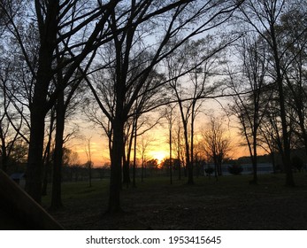 It’s a beautiful picture of the sunset through some trees in the small town of Raymond ms