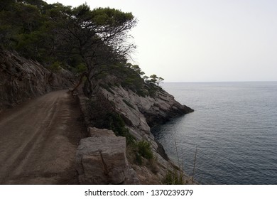 A Beautiful Picture Of A Trail With Vegetation Besides The Calm Sea In Palma De Mallorca, Spain