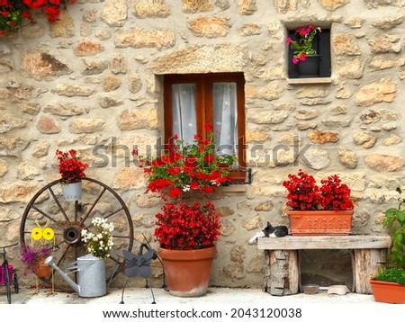 Beautiful picturesque image of the ancient stone house with red geranium flowers and a cosy sleeping cat 