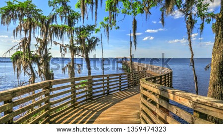 Beautiful Pier and Cypress Trees on a Bright Sunny Day at Alpine Groves Park near Mandarin in Jacksonville Florida