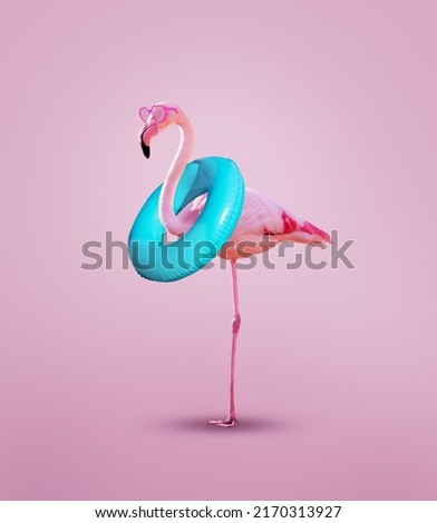 Beautiful ping flamingo with inflatable buoy wear pink glasses - concept mixed media image