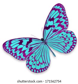 Beautiful Pink Blue Butterfly Isolated On Stock Photo 171562754 ...