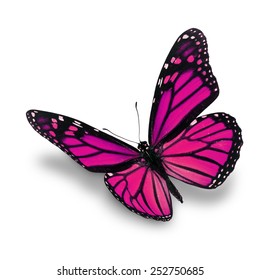 Beautiful Pink Monarch Butterfly Isolated On Stock Photo (Edit Now ...