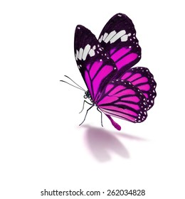 Beautiful Pink Butterfly Isolated On White Stock Photo 262034828 ...