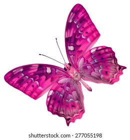 Beautiful Pink Butterfly Lower Wing Profile Stock Photo 277055198 ...