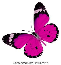 Pink Butterfly Images, Stock Photos & Vectors | Shutterstock