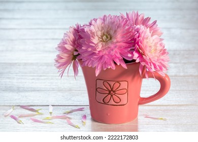 Beautiful pink chrysanthemum flowers in a cup on a white wooden table
 - Powered by Shutterstock