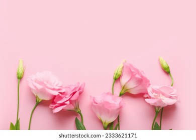 Hermosas flores eustoma rosa