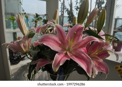 Beautiful Pink Flower At Local Flower Shop