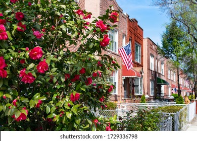 Beautiful Pink Flowers During Spring Along A Row Of Old Brick Homes With An American Flag In Astoria Queens New York