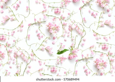 beautiful pink flowers isolated on white background ,Coral Vine or Antigonon leptopus Hook - Shutterstock ID 570689494