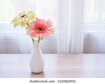 Beautiful pink Gerbera jamesonii daisy flower in vase on table Barberton Transvaal daisy copy space for text lettering flower in ceramic on wooden table window light background wallpaper celebrating