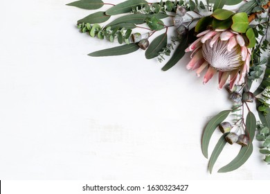 Beautiful Pink King Protea Surrounded By Australian Native Eucalyptus Leaves And Gum Nuts, Creating A Floral Border On A White Background. Space For Copy.