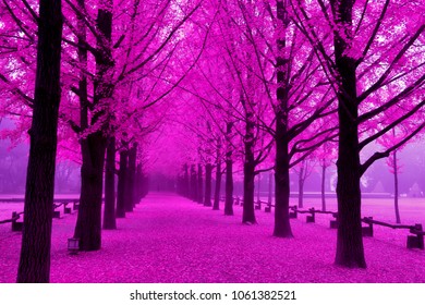 Beautiful Pink Leaves Nami Island South Stock Photo 1061382521 ...