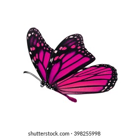 Beautiful Pink Monarch Butterfly Isolated On Stock Photo (Edit Now ...