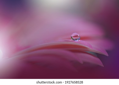 Beautiful Pink Nature Background.Macro Shot Of Magic Flowers.Creative Floral Art Design.Magic Light.Extreme Close Up Photography.Conceptual Abstract Image.Artistic Natural Wallpaper.Violet Color.Plant