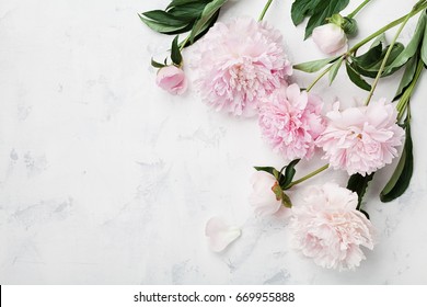 Beautiful pink peony flowers on white table with copy space for your text top view and flat lay style