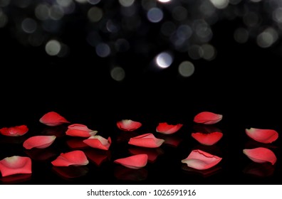 beautiful pink petals on black background with reflection