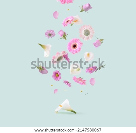 Beautiful pink, purple and white flowers on a pastel green background. Spring pastel flying flowers aesthetic concept. Gerbera, rose, calla lilly and others flowers floating in the air.