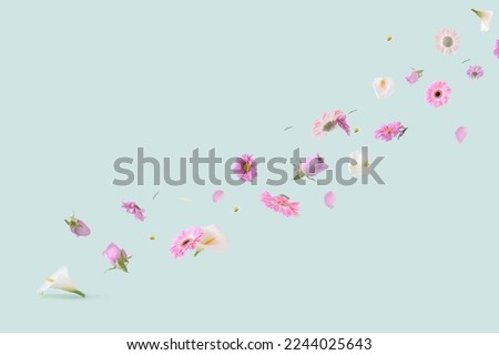 Beautiful pink, purple and white flowers on a pastel green background. For Mother's day, Spring, Summer and other purposes. Nature flying flowers arrangement.