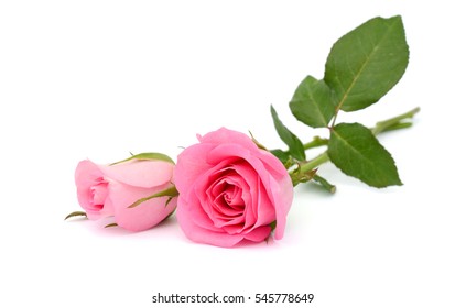 Beautiful Bouquet Pink Rose Flowers Isolated Stock Photo 551546803 ...