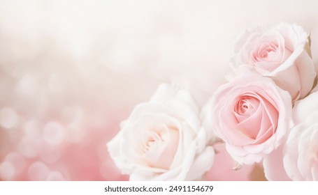 Hermosas Rosas Rosadas Detrás