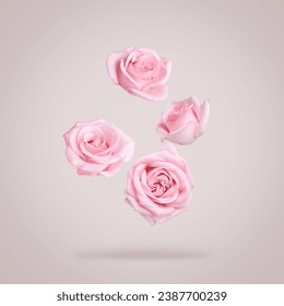 Hermosas rosas rosas que