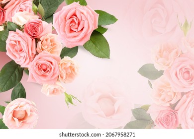 Hermosas rosas rosas rosas