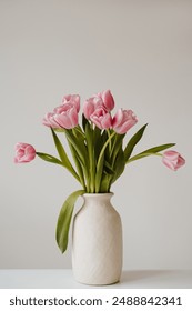 Beautiful pink tulip flowers bouquet in ceramic vase on white table. Aesthetic minimalist style floral composition with copy space