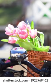 Beautiful Pink Tulip Flowers In A Wickery Bike Basket - Spring Mood