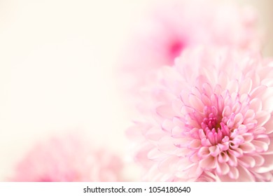 Stock Photo and Image Portfolio by CustomPhotographyDesigns | Shutterstock