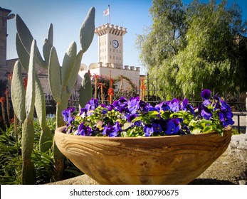 Beautiful plant vase with purple flowers in Mount Tabor, Israel. Amazing tower and view