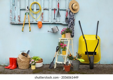 Beautiful plants, gardening tools and accessories near shed outdoors - Powered by Shutterstock