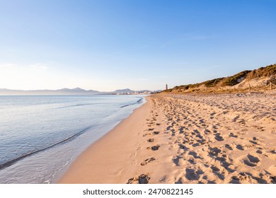 Beautiful Playa de Muro beach, Mallorca, Spain - Powered by Shutterstock