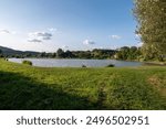 A beautiful pond with clean water, in which various types of fish, from carp to catfish, thrive.