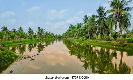 Beautiful pond including coconut trees during sunset - Shutterstock ID 1789335680