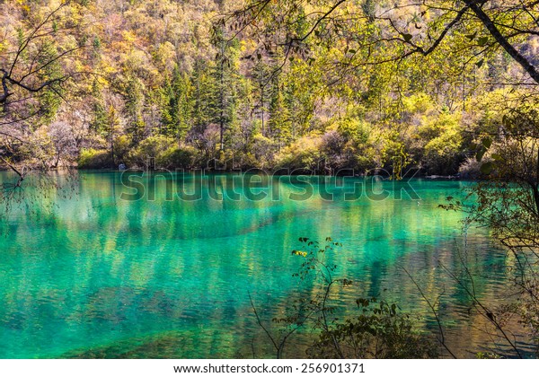 Beautiful Pond Jiuzhaigou National Park Sichuan Stock Photo Edit Now
