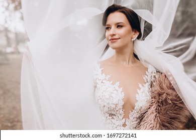 A beautiful portrait of the bride under a veil. Elegant woman with professional make up and hair style. A photo of delicate bride's hands hidden under a veil. Wedding day. Marriage. Fashion bride. - Powered by Shutterstock