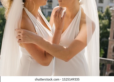 Beautiful Portrait Of Gay Couple Wedding. Two Brides In Elegant Dresses. Homosexual Marriage. Romantic Moment. Unrecognizable Persons Photo