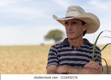 Beautiful Portrait Of The Senior Brazilian Farmer Standing On A Plantation