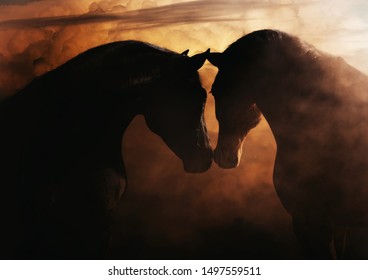 Beautiful Portrait Of Two Horses 